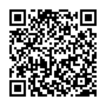 QR code for N0333W