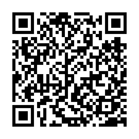 QR code for N036IP