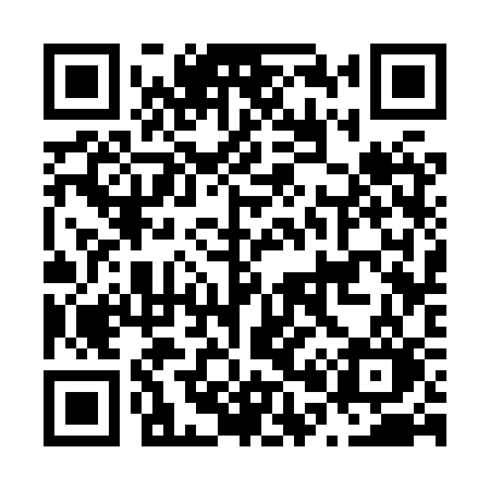 QR code for N038SO