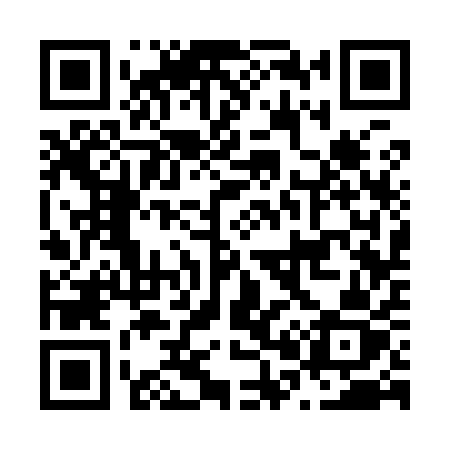 QR code for N0391Z