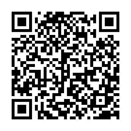 QR code for N040TS