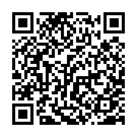 QR code for N0458P