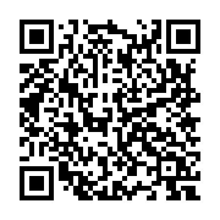 QR code for N0596T