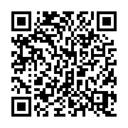 QR code for N060VP