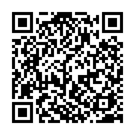 QR code for N061BA