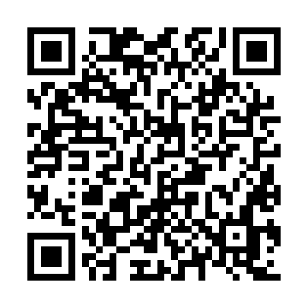 QR code for N061LN