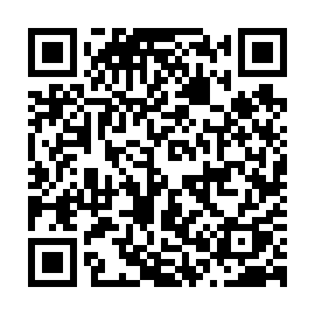 QR code for N0661Q