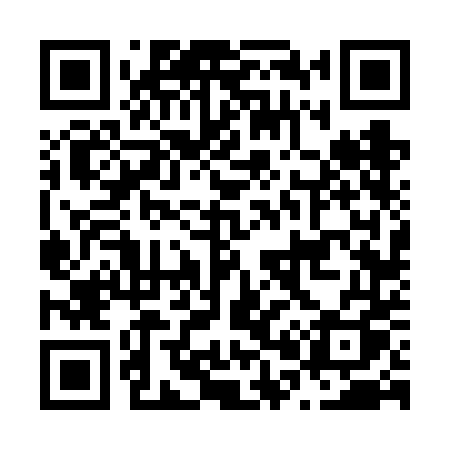 QR code for N066DQ
