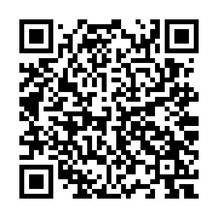QR code for N06UDO