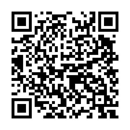 QR code for N0741N