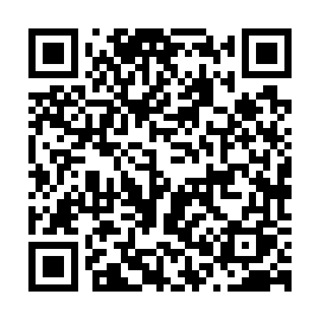 QR code for N0876Q
