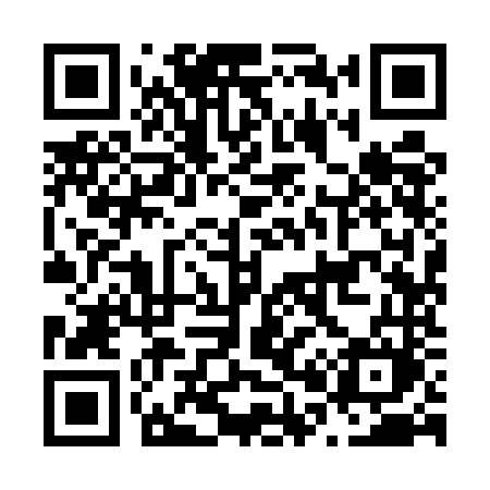 QR code for N095NM