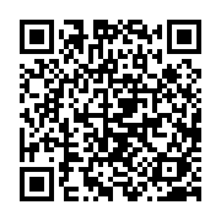 QR code for N1011K