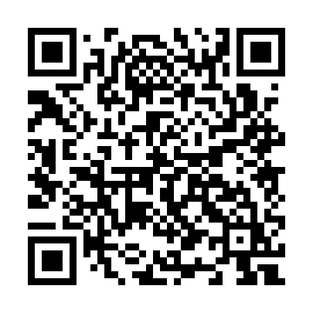 QR code for N101QZ