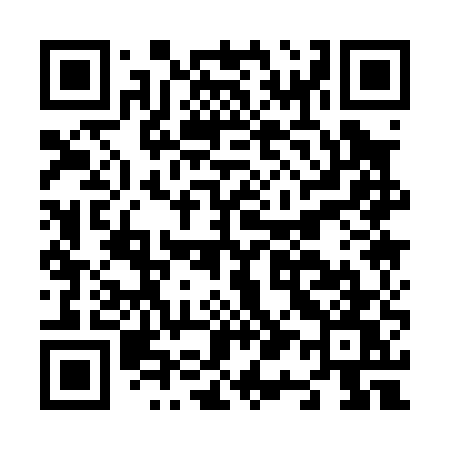 QR code for N1105W