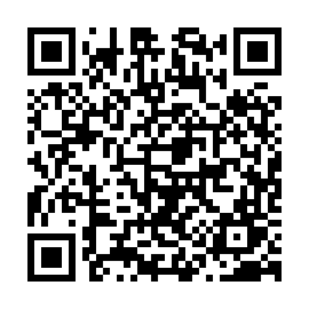 QR code for N118VT