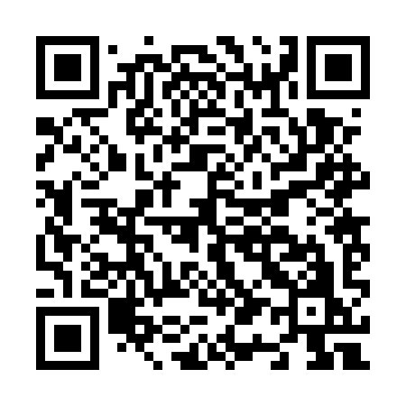 QR code for N125YO