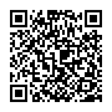 QR code for N13BVZ