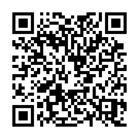 QR code for N13CCP