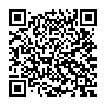 QR code for N16VVI