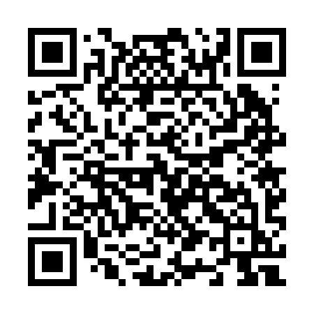 QR code for N1729J