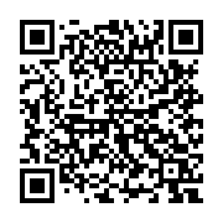 QR code for N17HVS