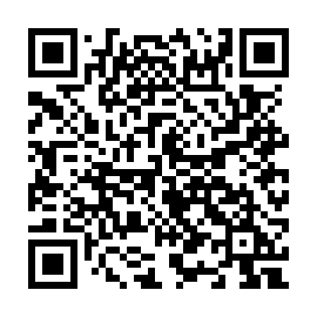 QR code for N17ORE