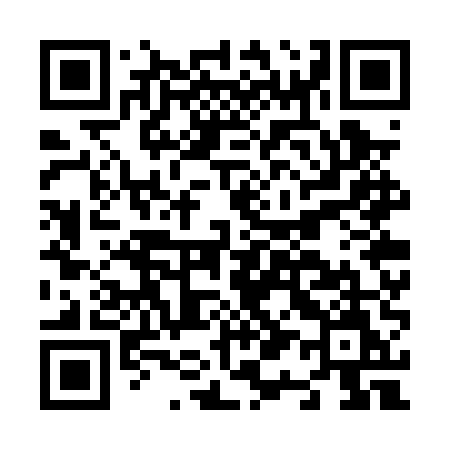 QR code for N17PUM