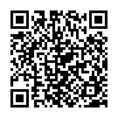 QR code for N17QIB