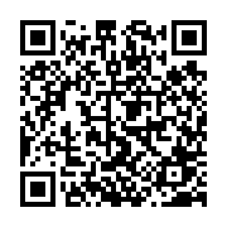 QR code for N1960V