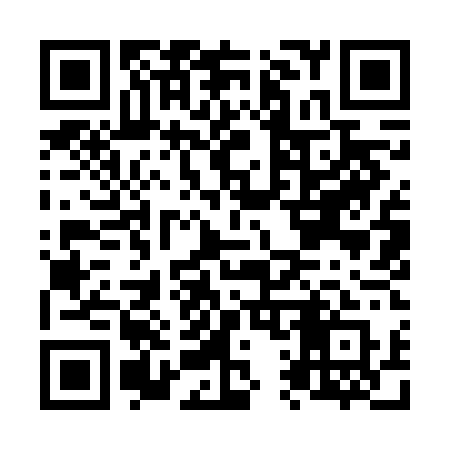 QR code for N196DQ