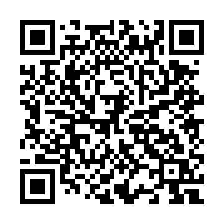 QR code for N204QS
