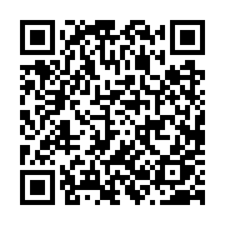QR code for N207PP