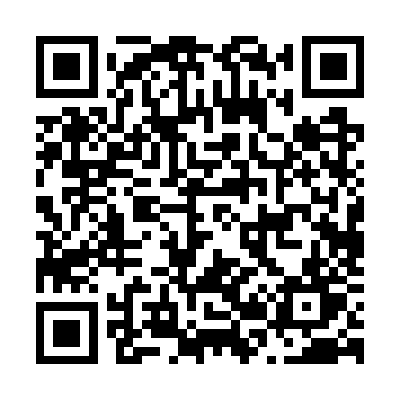 QR code for N207ZT