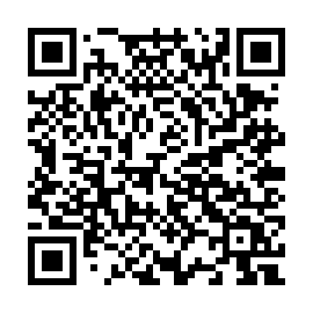 QR code for N20TNT