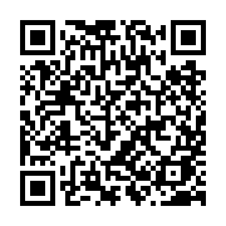QR code for N217MA