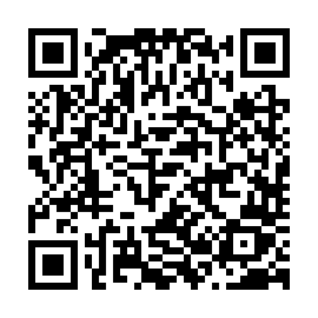 QR code for N223TZ