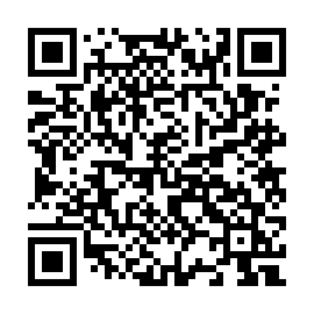 QR code for N225FJ