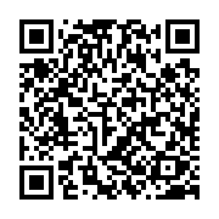 QR code for N2272X