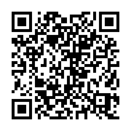 QR code for N229DQ