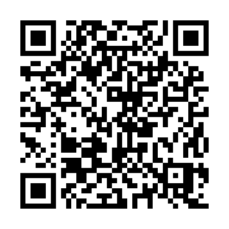 QR code for N229HS