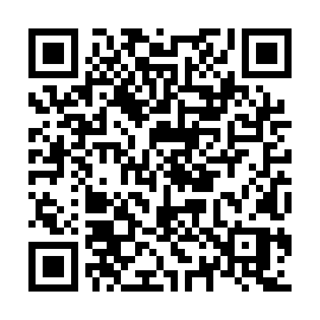 QR code for N22QLP