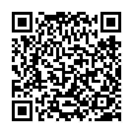 QR code for N22VIZ