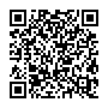 QR code for N233LI