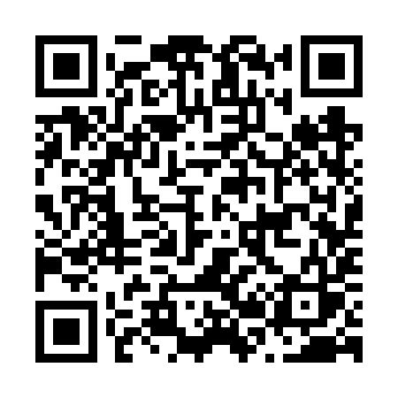 QR code for N236YS