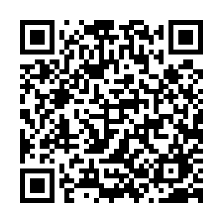 QR code for N2451G