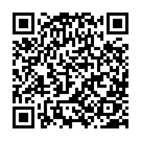 QR code for N289MZ