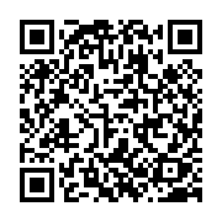 QR code for N2901X