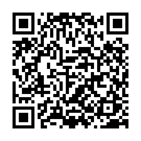 QR code for N291BS