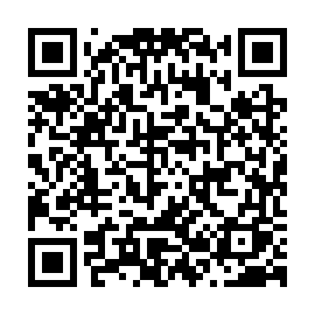 QR code for N293VQ
